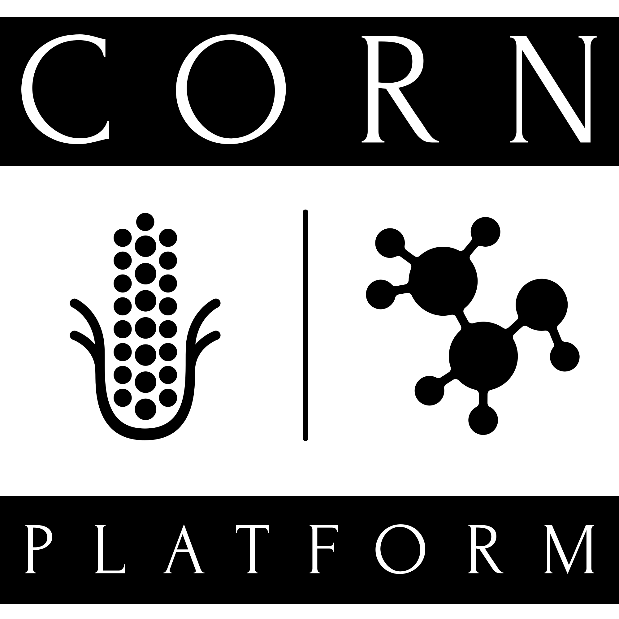 CORN PLATFORM® Romănia